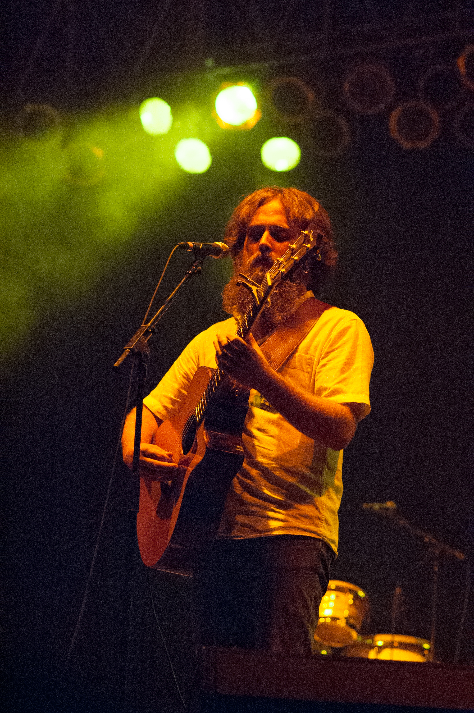Iron & Wine — artist photo