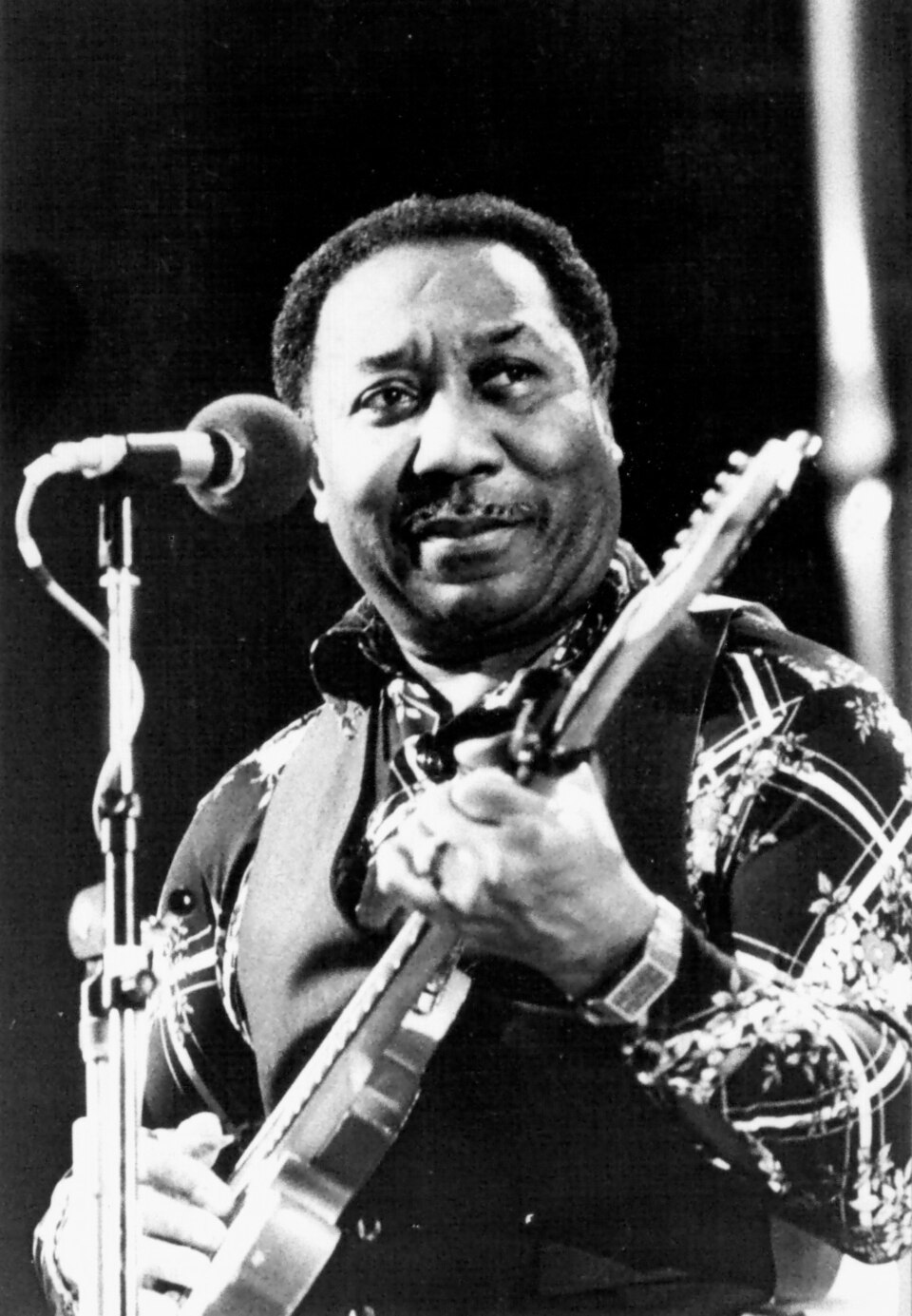 Muddy Waters — artist photo